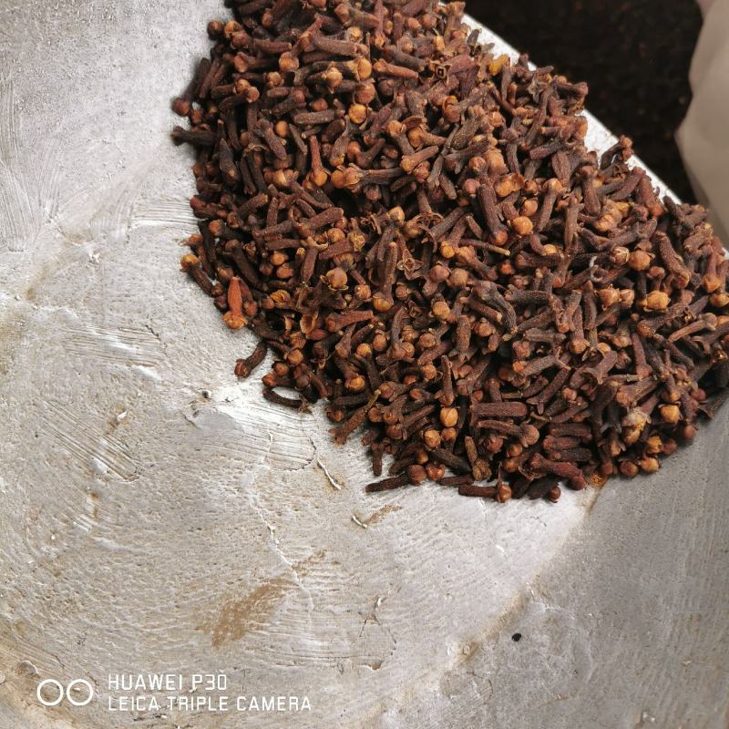 丁香公丁香母丁香干货常年供大货批发零售