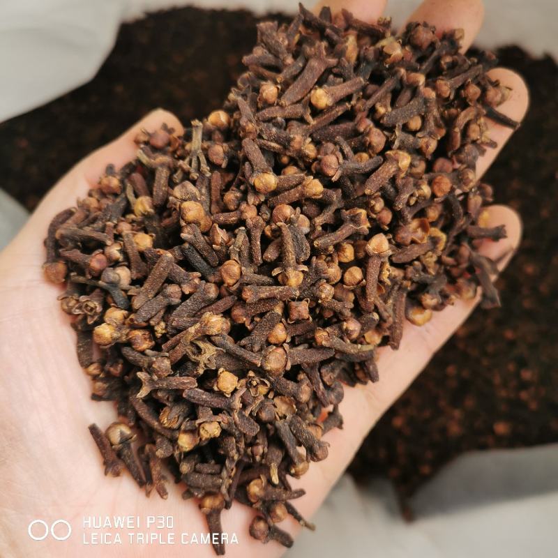 丁香公丁香母丁香干货常年供大货批发零售