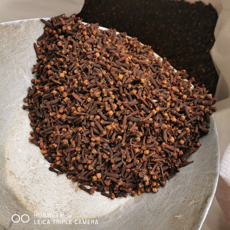 丁香公丁香母丁香干货常年供大货批发零售