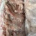 生牛筋熟牛筋大量现货一手货源价格非常美丽