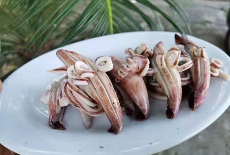 干冰牛角花，不发水不添加任何化学添加剂。