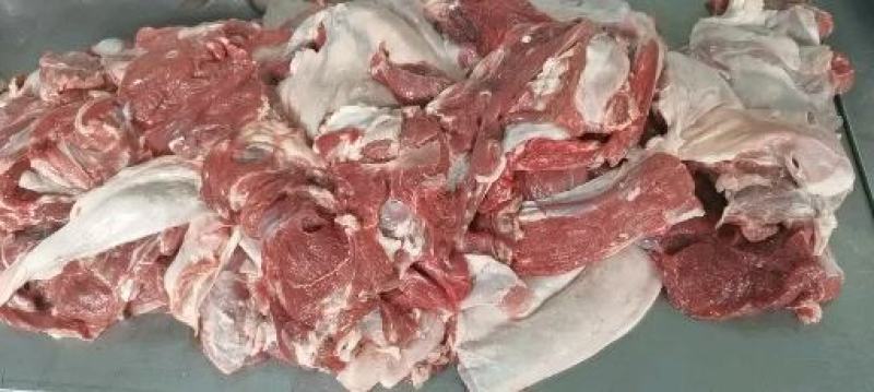 内蒙古羊脊骨，肉大整条