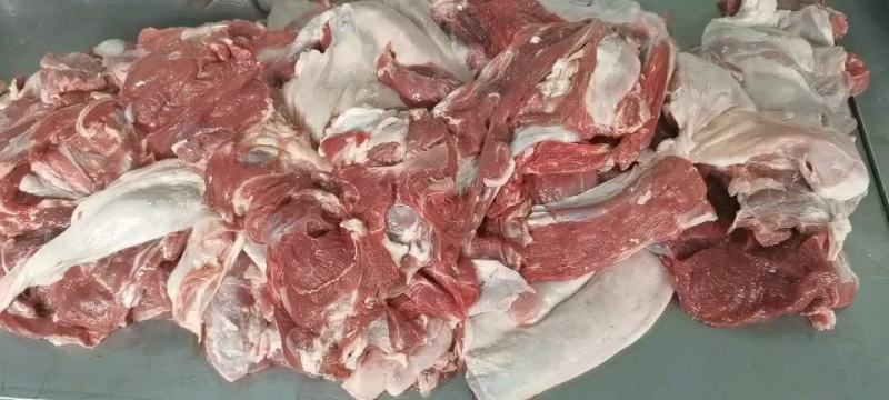 内蒙古羊脊骨，肉大整条