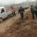 苹果树苗占地果树苗红富士苹果树苗基地直销现挖现发