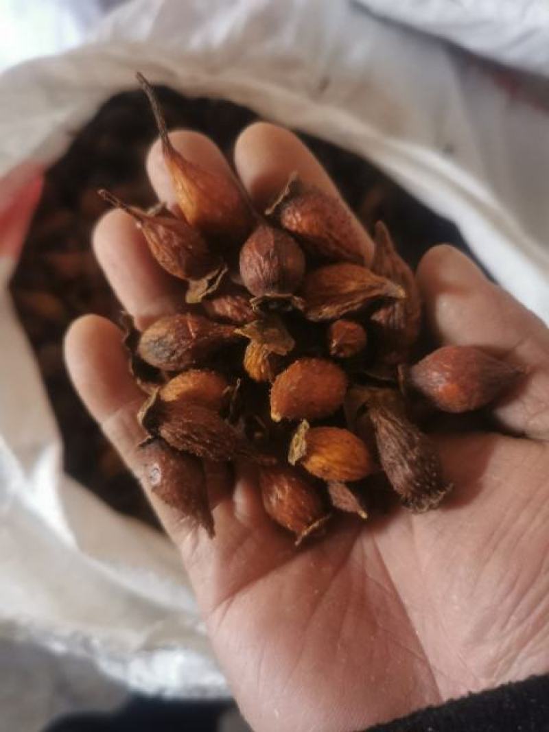 金樱子湖北无硫干货，全干