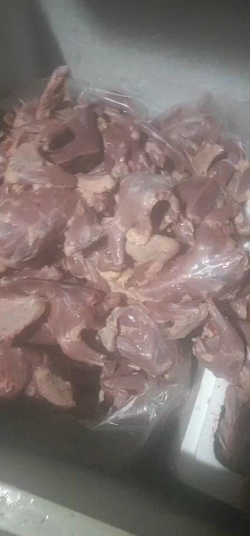 新鲜，扒皮鸽，货源充足，一手货源，量大从优