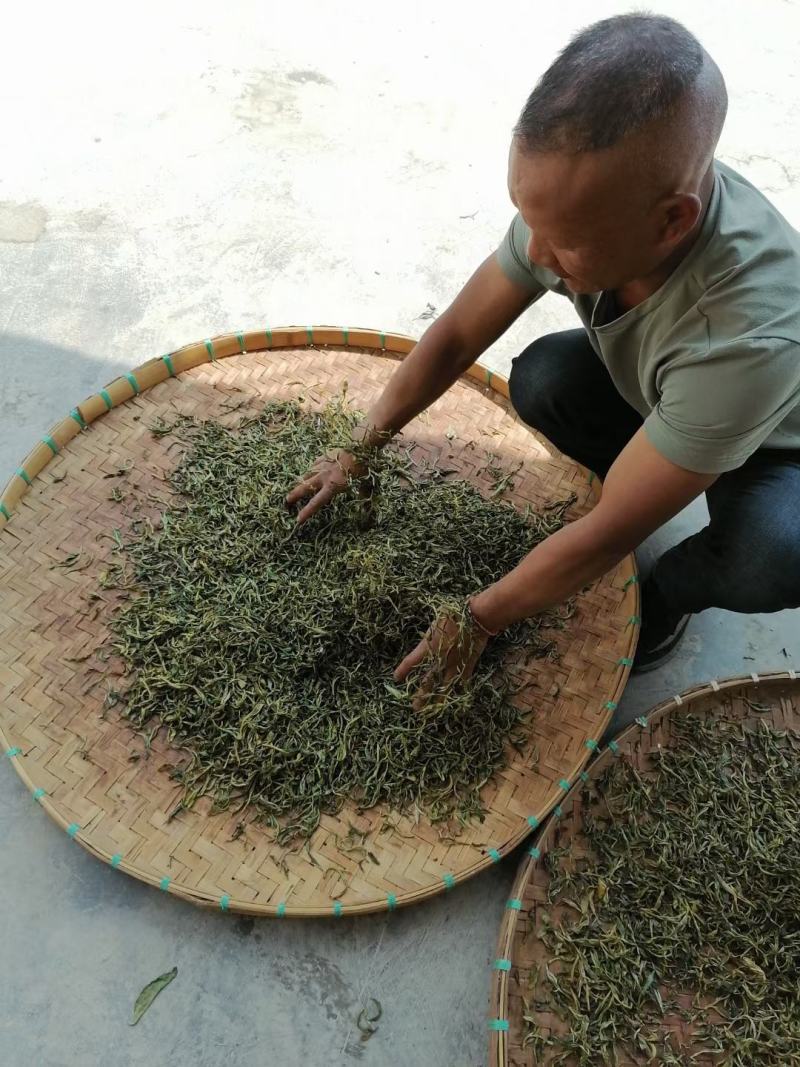 各茶友分享一下今天的头春大树茶