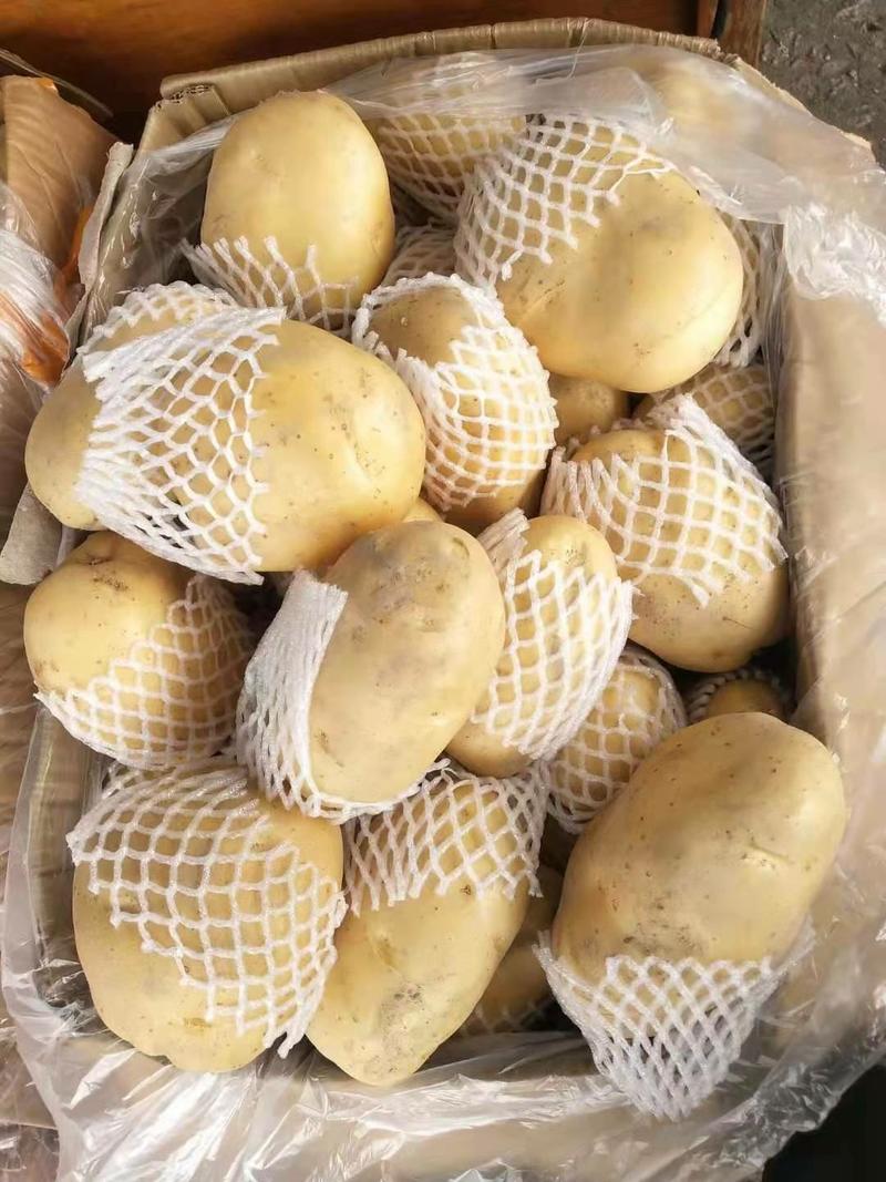 丽薯六号~云南新鲜土豆大量上市