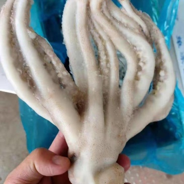 干冰鱿鱼须，不发水不添加任何化学添加剂，一手货源。