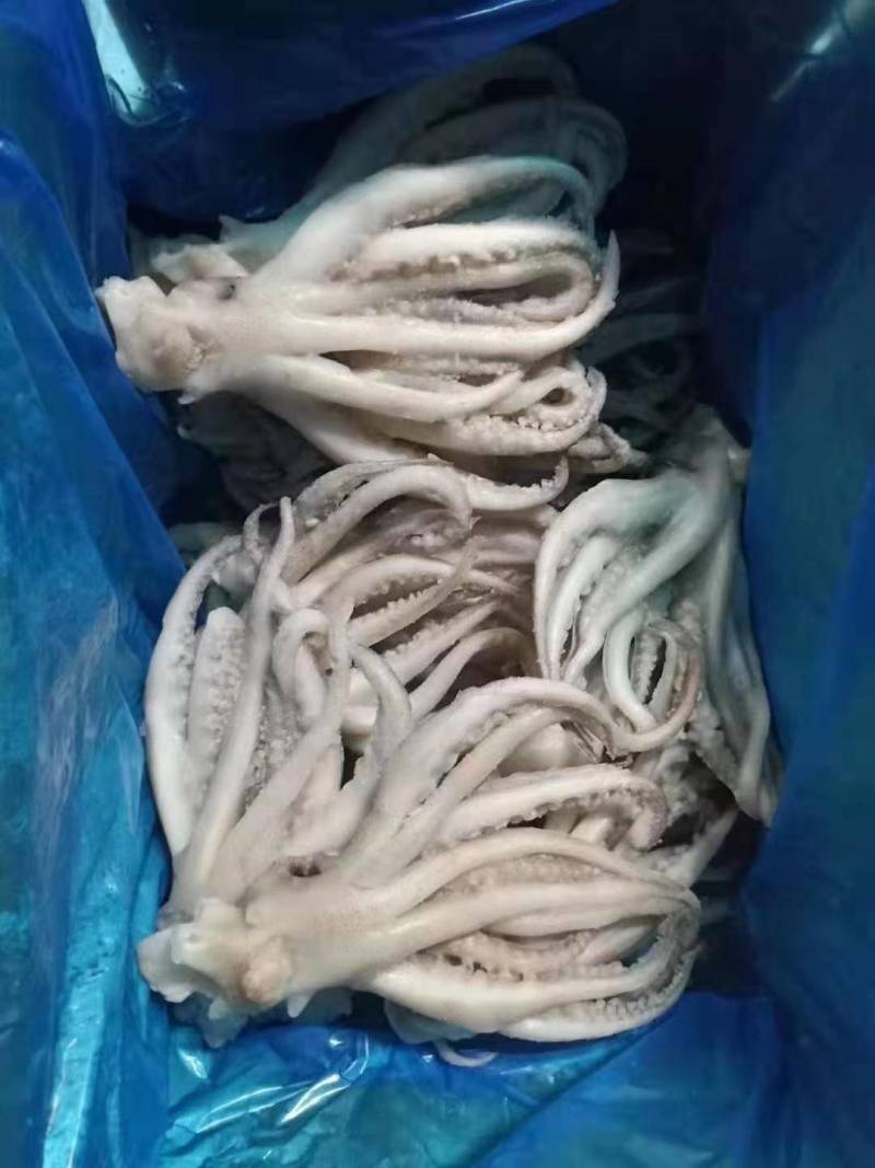 干冰鱿鱼须，不发水不添加任何化学添加剂，一手货源。