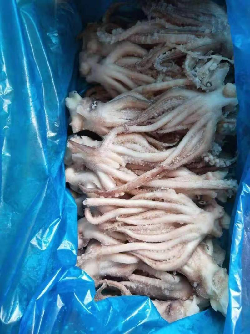 干冰鱿鱼须，不发水不添加任何化学添加剂，一手货源。