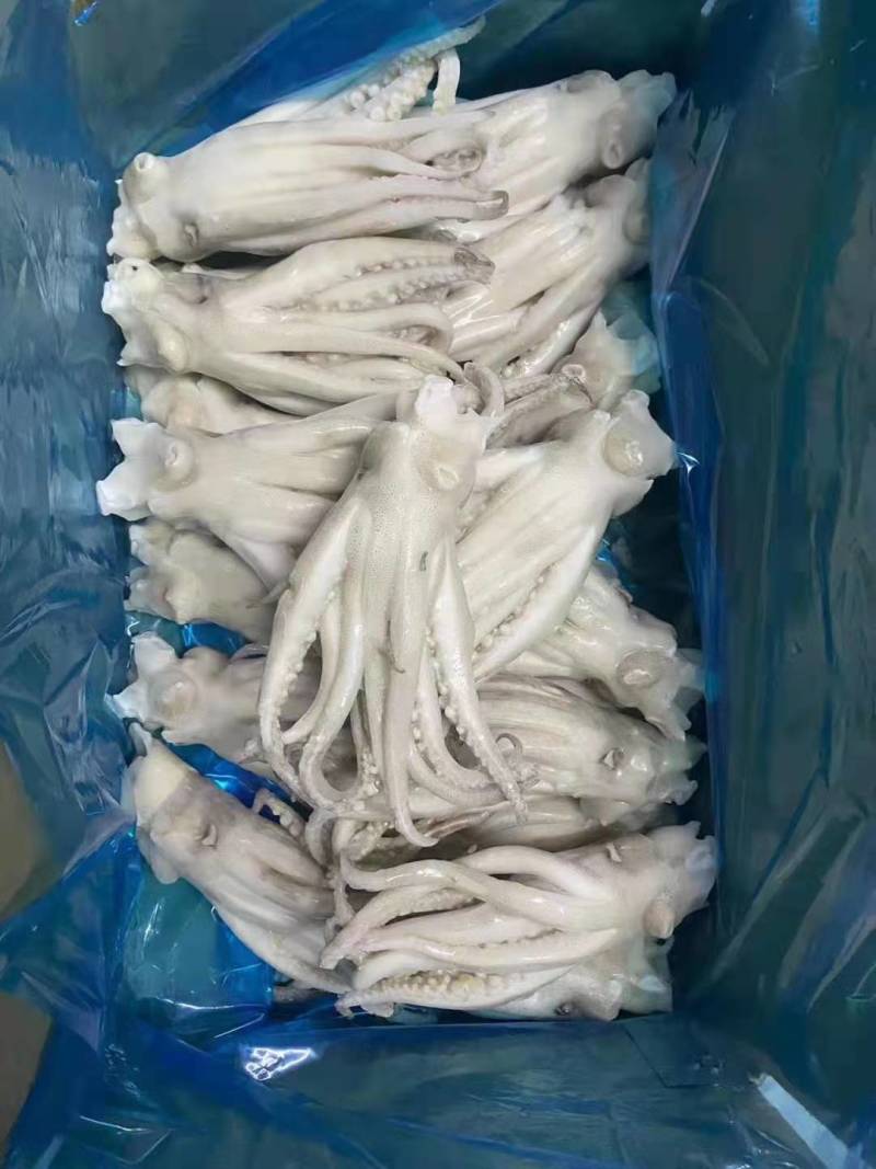 干冰鱿鱼须，不发水不添加任何化学添加剂，一手货源。