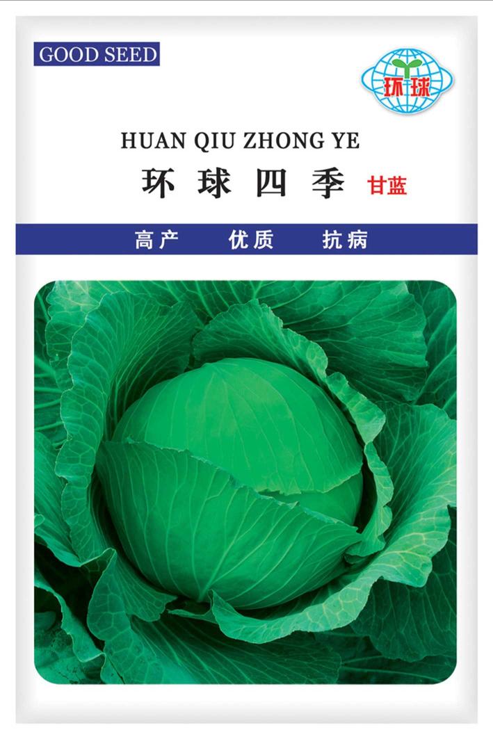 80/袋            【耐热绿甘60甘蓝】甘蓝种子 耐热 抗病 耐裂 进口