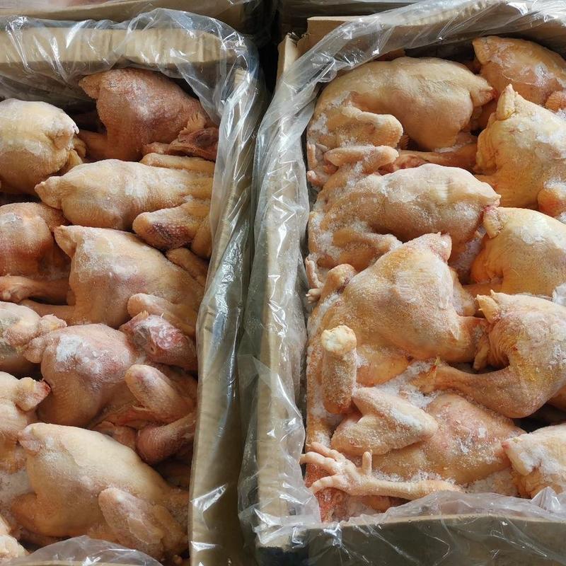 鸡肉生鲜冷冻三黄鸡散养鸡残鸡整箱20斤饭店食堂