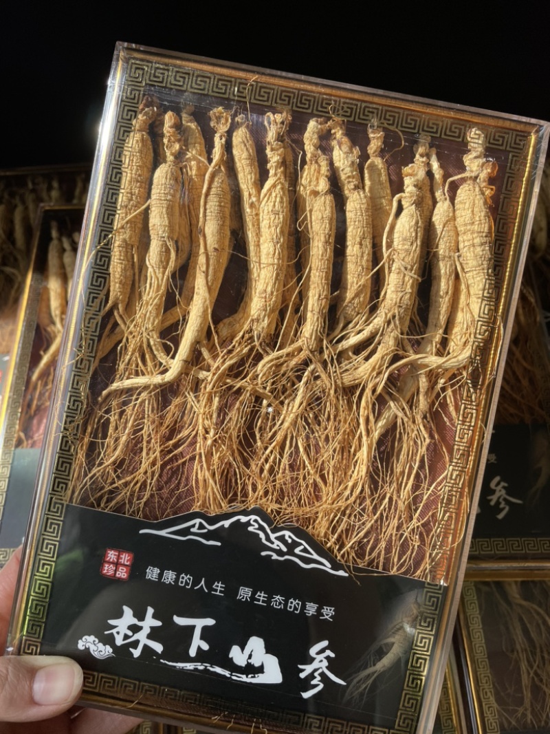 林下参礼盒一盒20支配送精美皮兜煲汤泡水泡酒