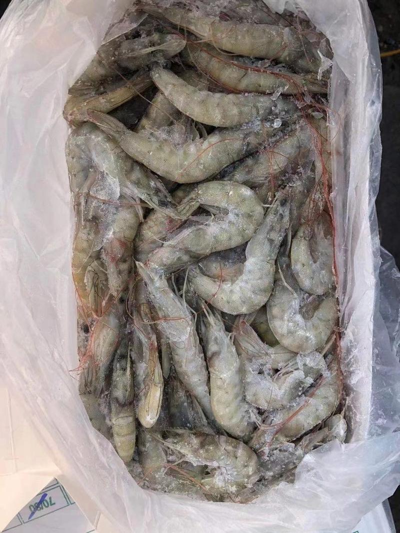 厄爪多尔白虾规格齐全，一箱10盒毛重40斤净重28斤