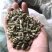 木贼木贼草节节草节骨草无心草笔筒草保庆药业