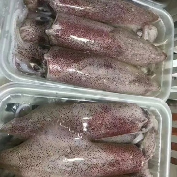 诱惑的母管，油焖后，再用剪刀剪一下，籽就爆出来了