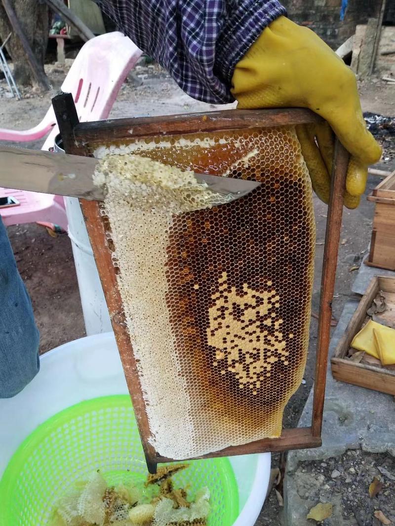 高州市荔枝蜂蜜，一年一度2023年蜂蜜不混合任何添加剂
