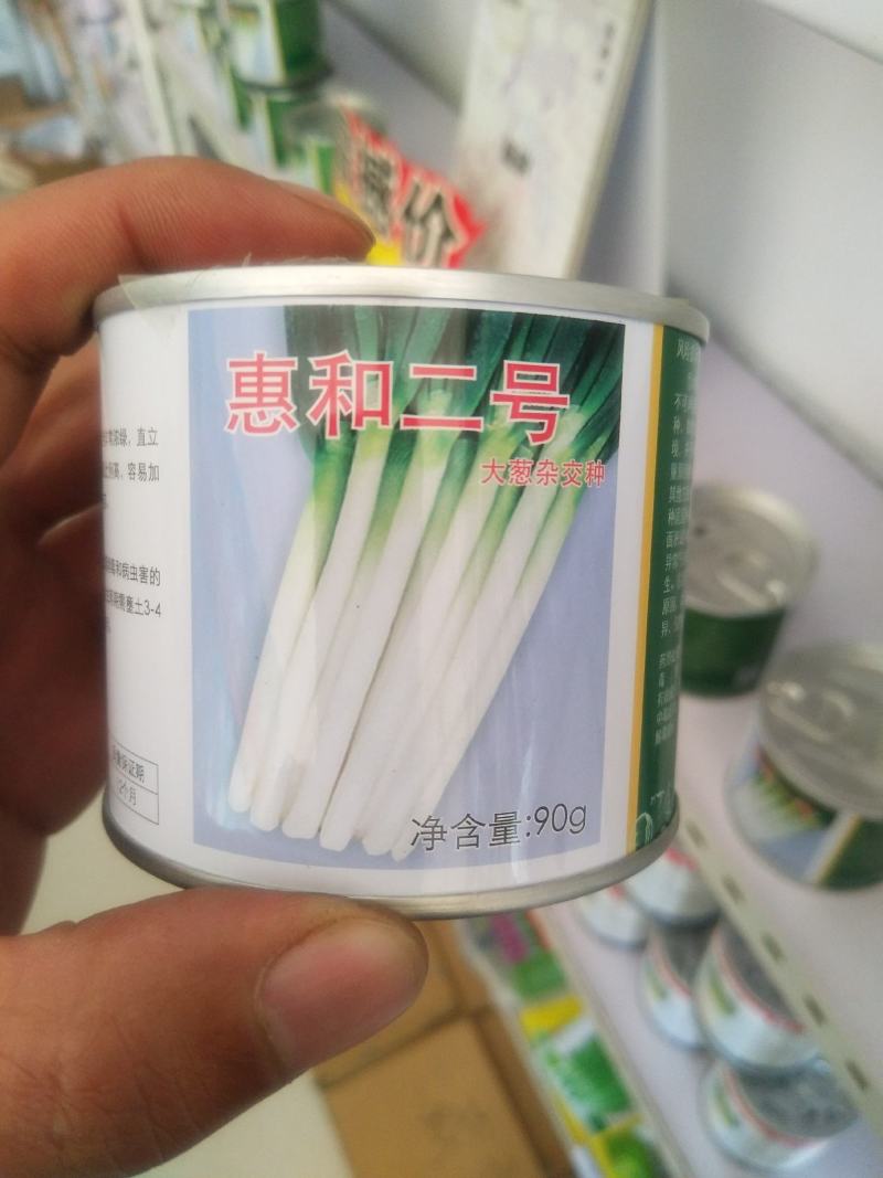潍坊市坊子区常年出售钢葱一代二代大葱种子，葱苗，代育葱苗