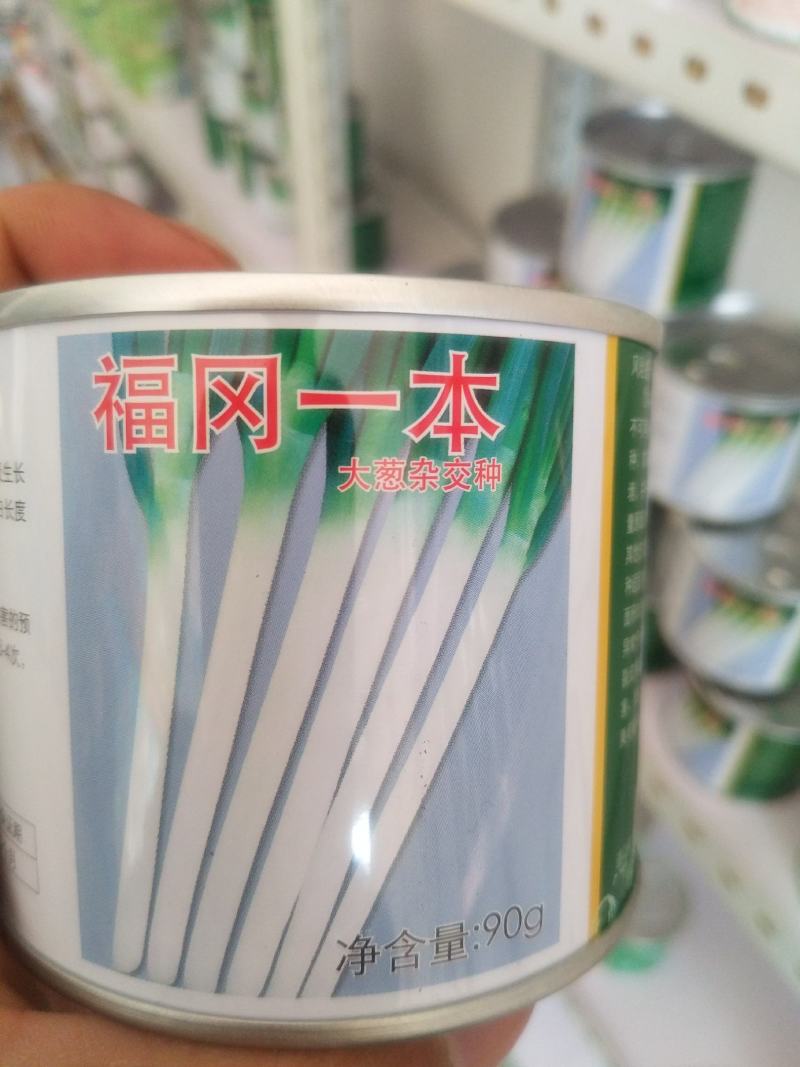 潍坊市坊子区常年出售钢葱一代二代大葱种子，葱苗，代育葱苗