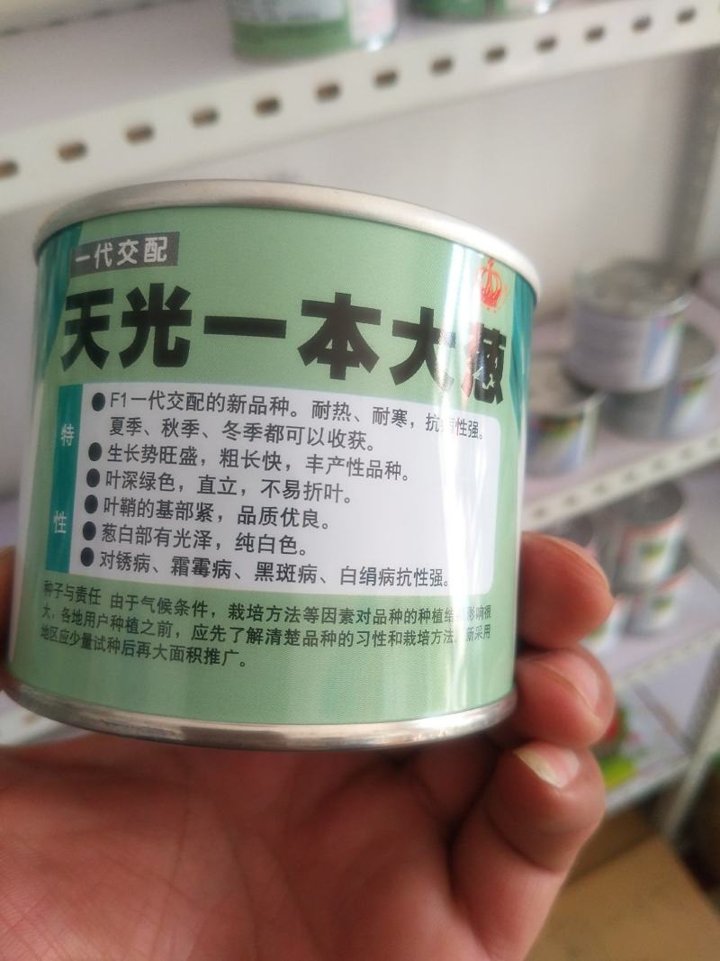 潍坊市坊子区常年出售钢葱一代二代大葱种子，葱苗，代育葱苗