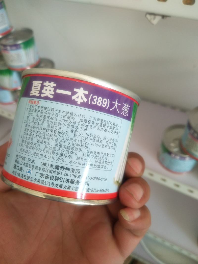 潍坊市坊子区常年出售钢葱一代二代大葱种子，葱苗，代育葱苗