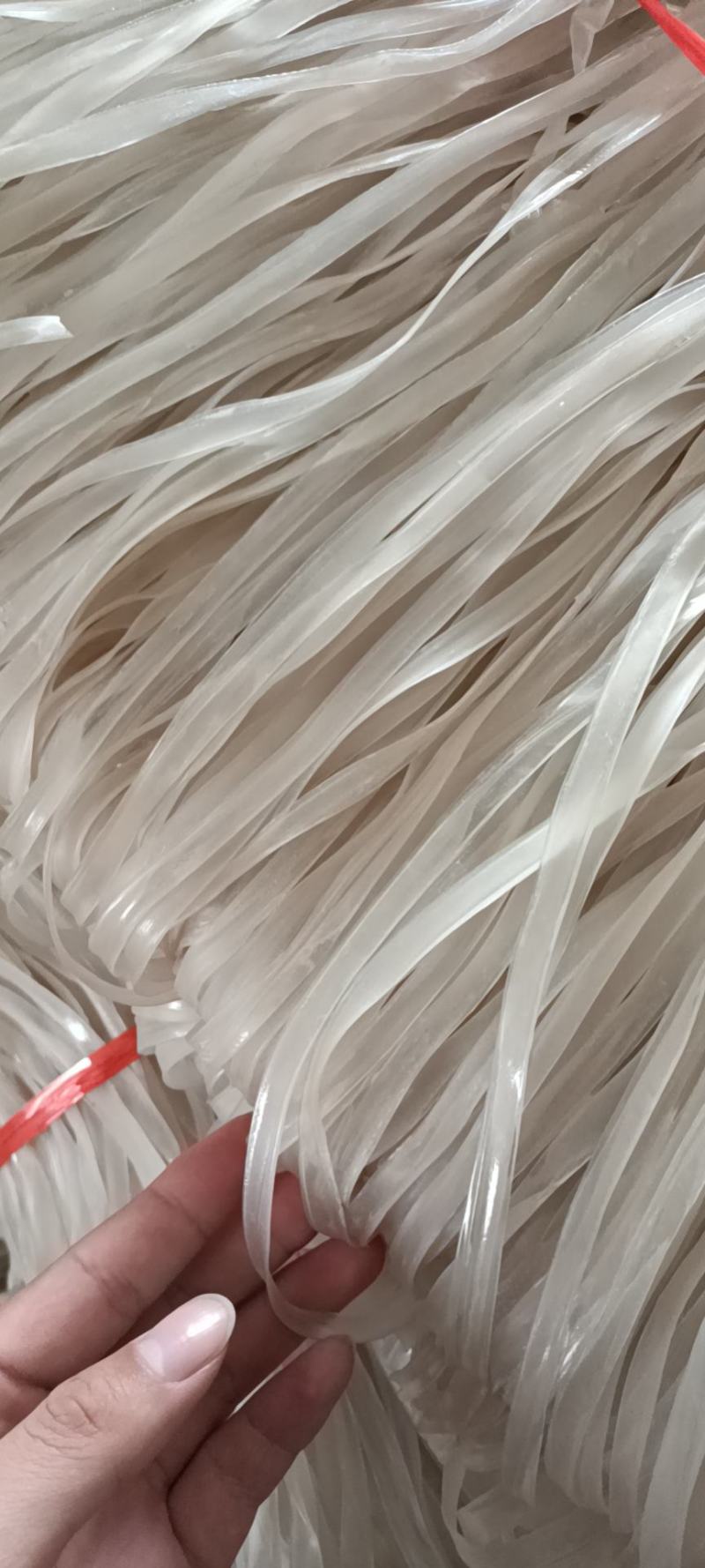 【活动特价】正宗山药宽粉量大从优一手货源可视频看货