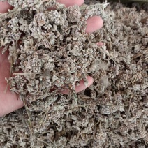 密蒙花，中药材密蒙花，批发零售，价格实惠，量大价优