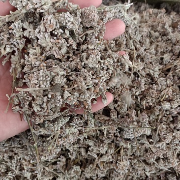 密蒙花，中药材密蒙花，批发零售，价格实惠，量大价优
