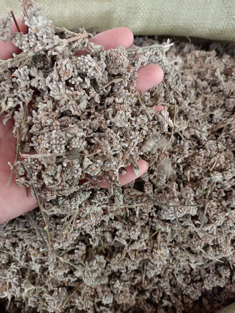 密蒙花，中药材密蒙花，批发零售，价格实惠，量大价优