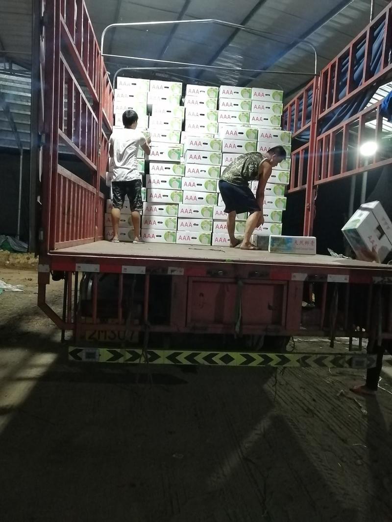 【全国供应】海南椰青，厂家批发，一年四季供货。