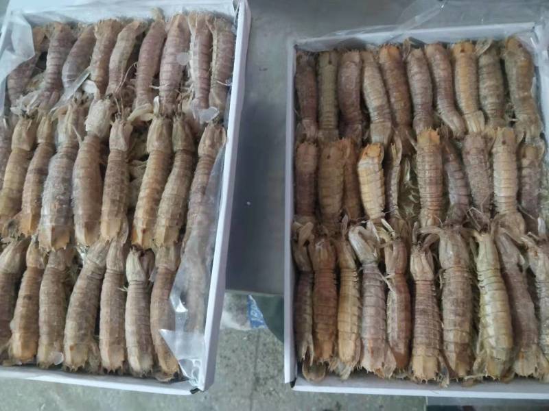 多肉活煮爬爬虾，不添加任何化学剂，一手货源，工厂直销。