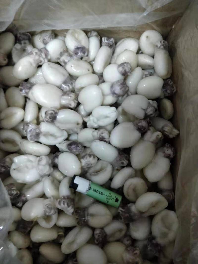 干水墨鱼仔，不发水，不添加任何化学剂，一手货源，工厂直销