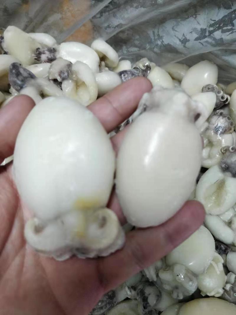 干水墨鱼仔，不发水，不添加任何化学剂，一手货源，工厂直销