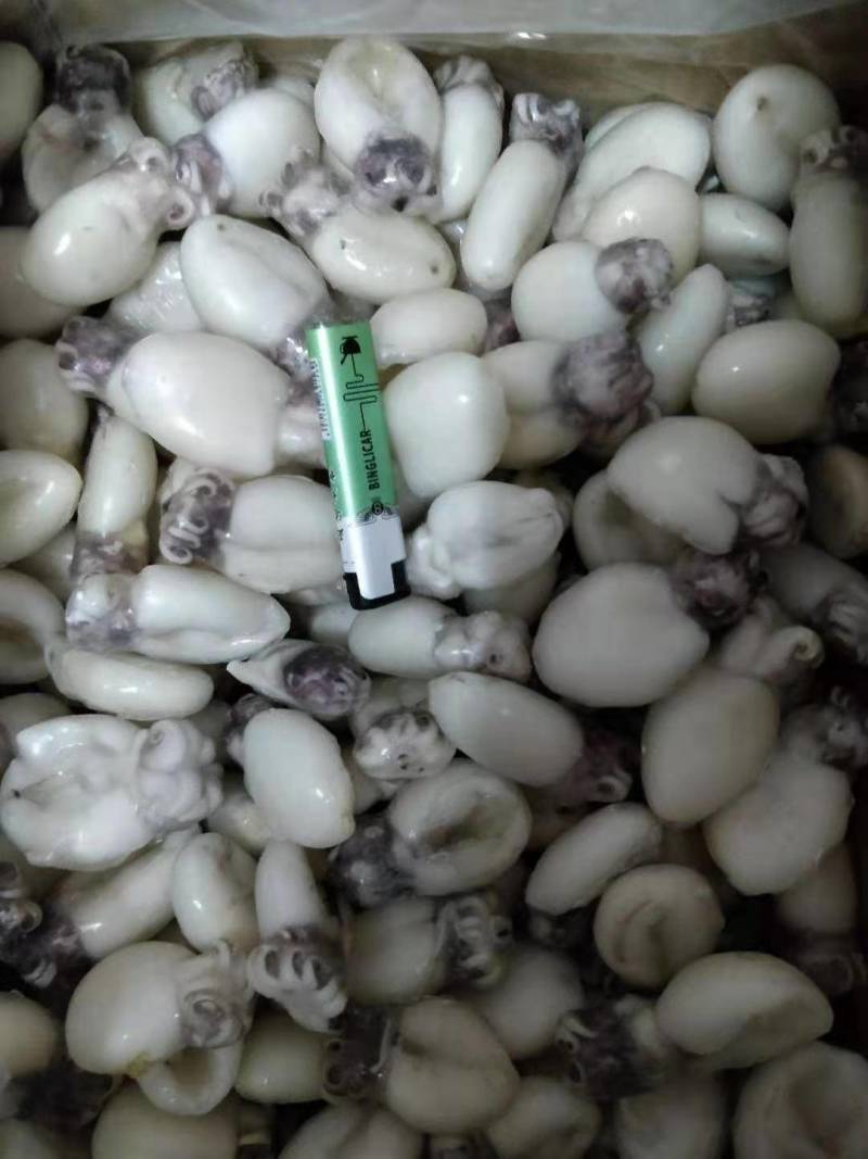 干水墨鱼仔，不发水，不添加任何化学剂，一手货源，工厂直销