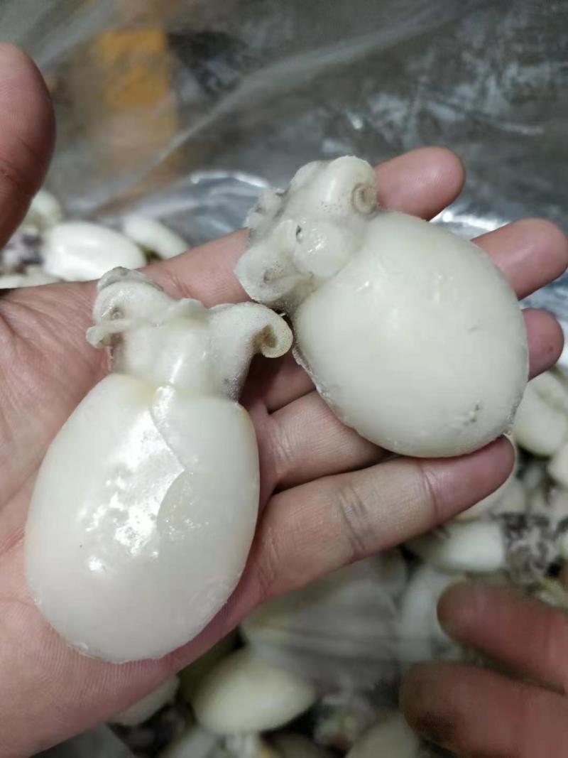 干水墨鱼仔，不发水，不添加任何化学剂，一手货源，工厂直销