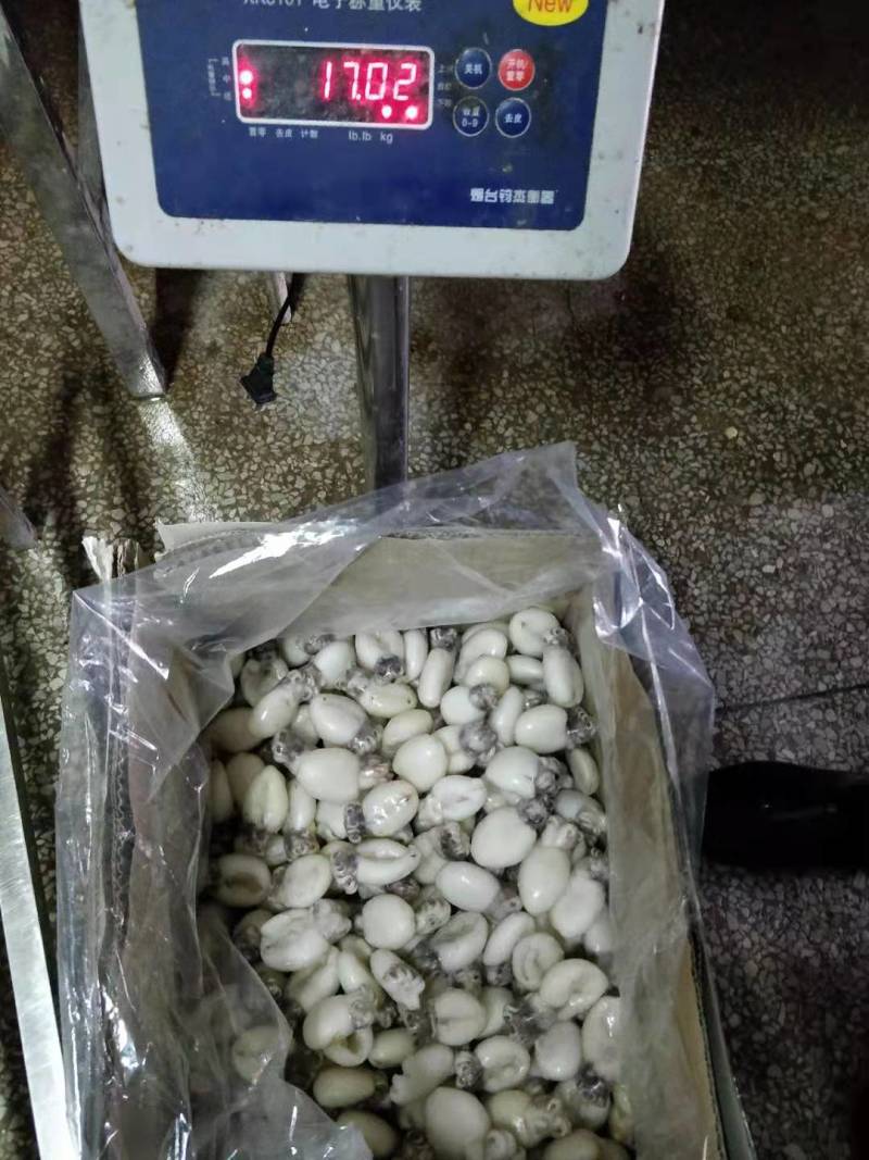 干水墨鱼仔，不发水，不添加任何化学剂，一手货源，工厂直销
