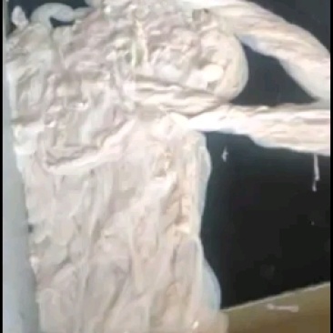 十路猪肠衣厂家自营量大优惠