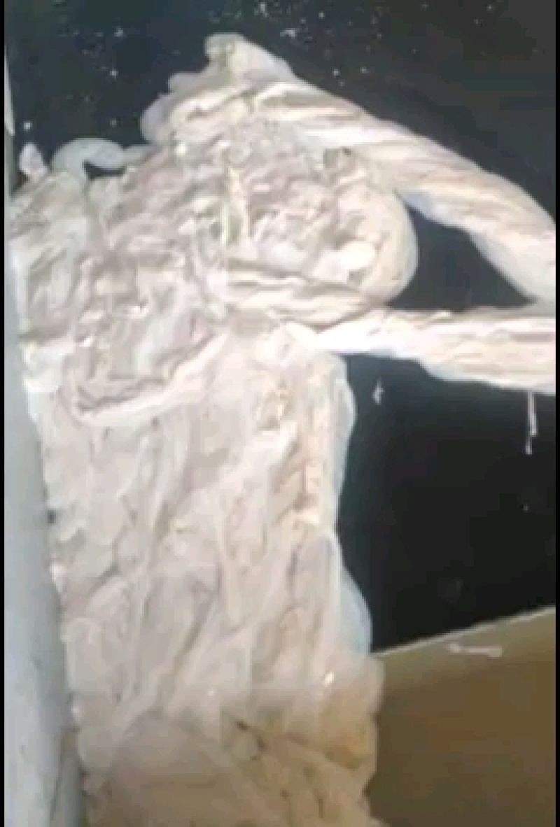 十路猪肠衣厂家自营量大优惠