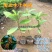 五味子苗南五味子树苗花卉药用药材植物庭院绿化带土