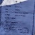 无絮杨树苗，大叶3412.3804中华红叶杨，意杨