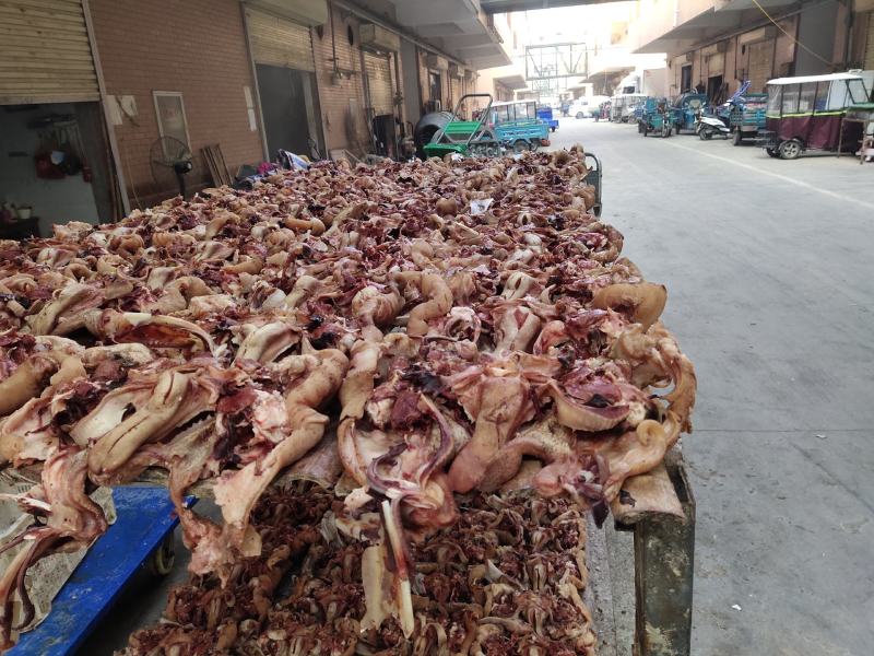 外蒙熟羊肉，熟羊后肉