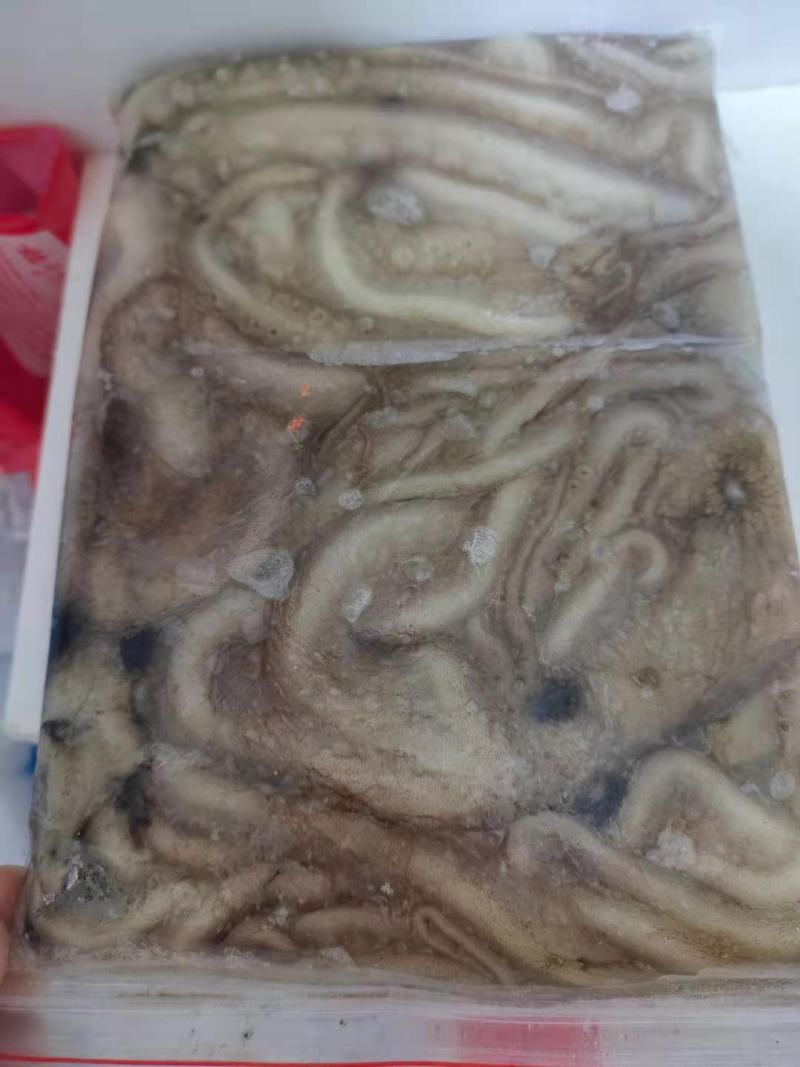 长腿八爪鱼，质量优，不泡水，鲜活速冻独立小包装。