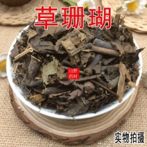 云南野生中药材草珊瑚肿节风九节茶九节风500g包