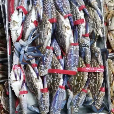 鲜冻兰花蟹，肉质肥美鲜甜，每天码头新鲜上货。