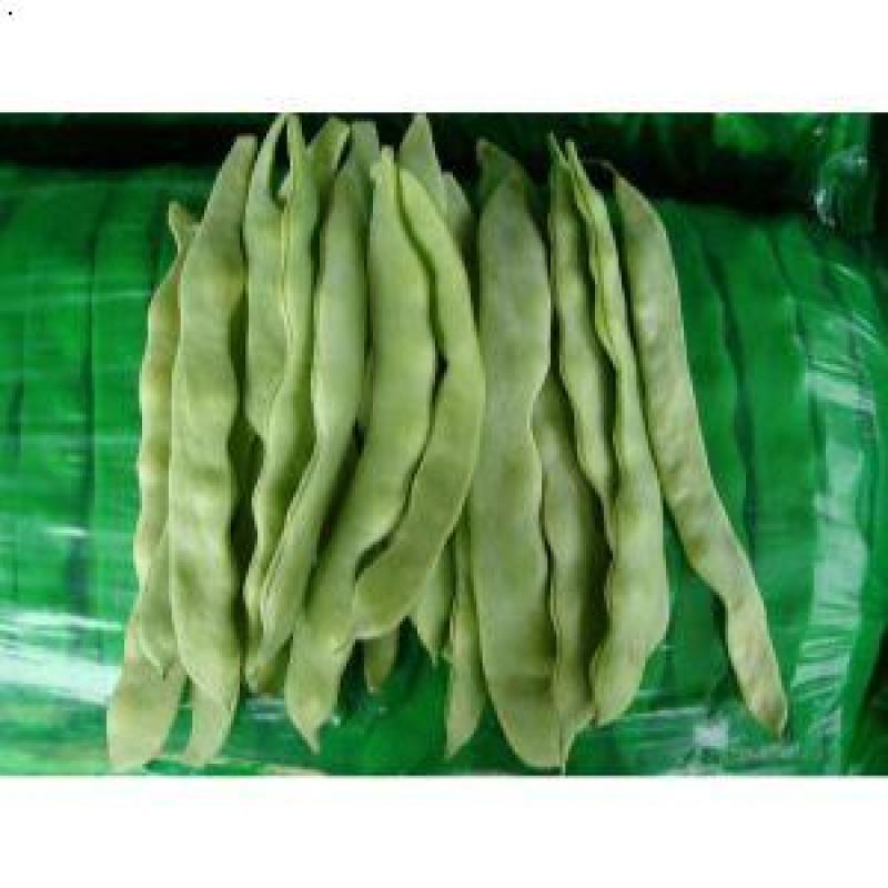 芸豆！芸豆主产区，大量上货