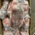 牛胸肉，牛脖肉，牛健子