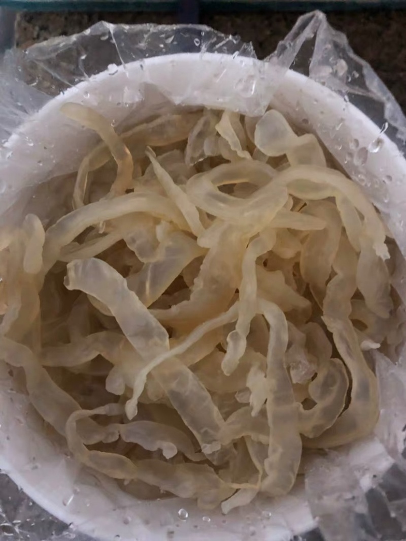 海蜇丝，酒店市场，全场最价，只为走量