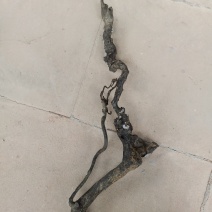 金弹子生桩熟桩量大，根据桩型面议。